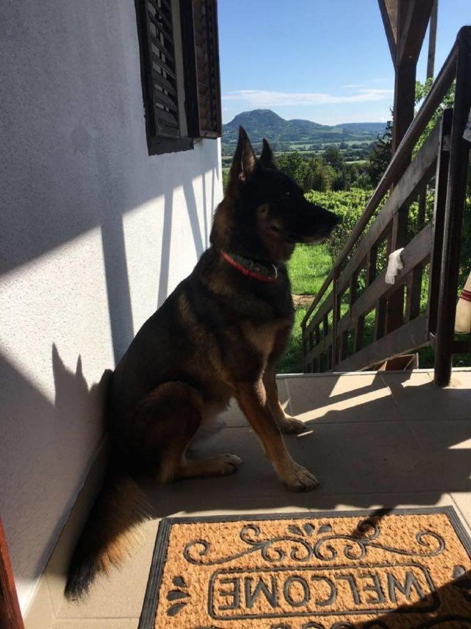 Agnes Almai Agnes Apples Villa Kisapati Dış mekan fotoğraf