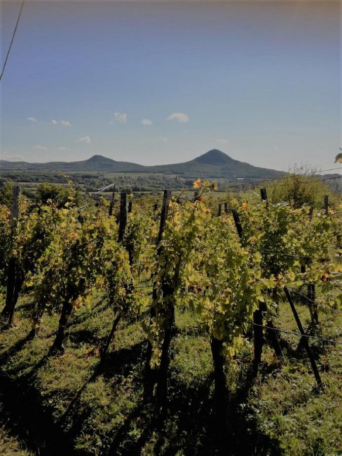 Agnes Almai Agnes Apples Villa Kisapati Dış mekan fotoğraf