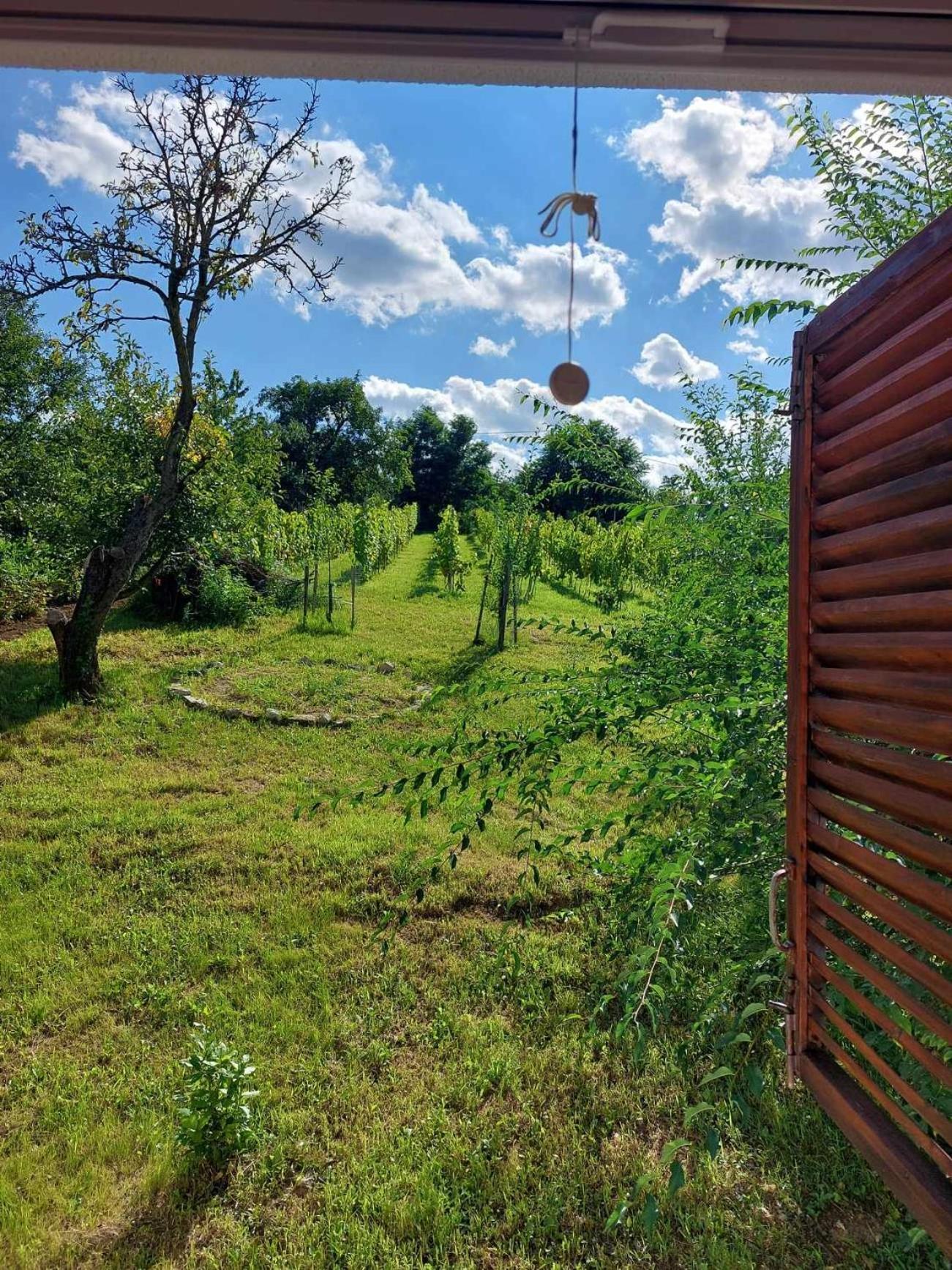 Agnes Almai Agnes Apples Villa Kisapati Dış mekan fotoğraf